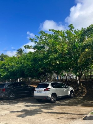 Comment une erreur d&rsquo;entretien redéfini un&nbsp;aménagement